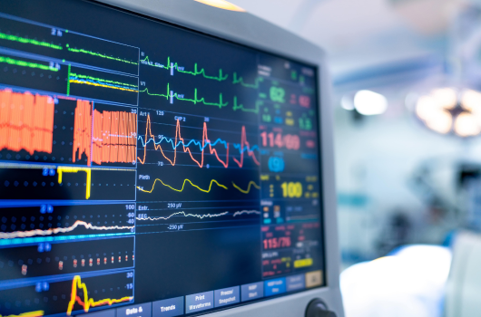 Living Will Charleston SC